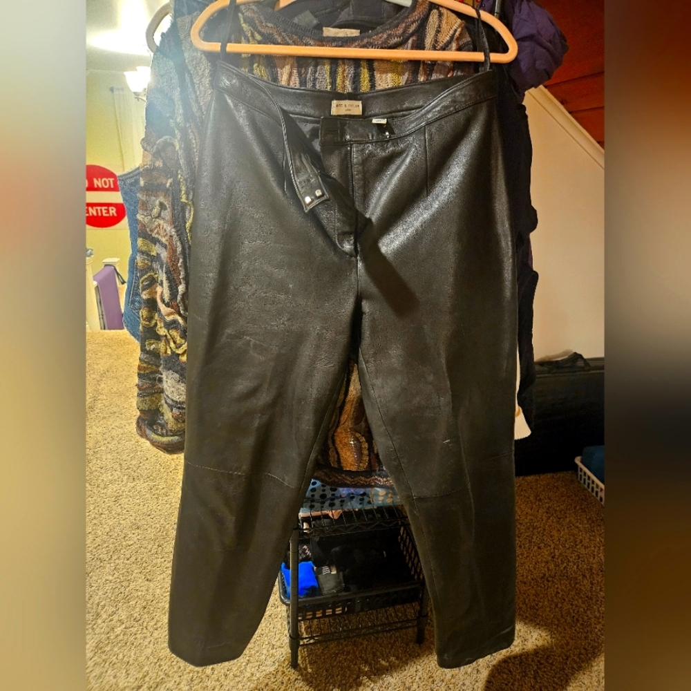 Lord and Taylor 14P Leather Pants 34 Inch Waist, Panels, Pockets, Zipper & Hook